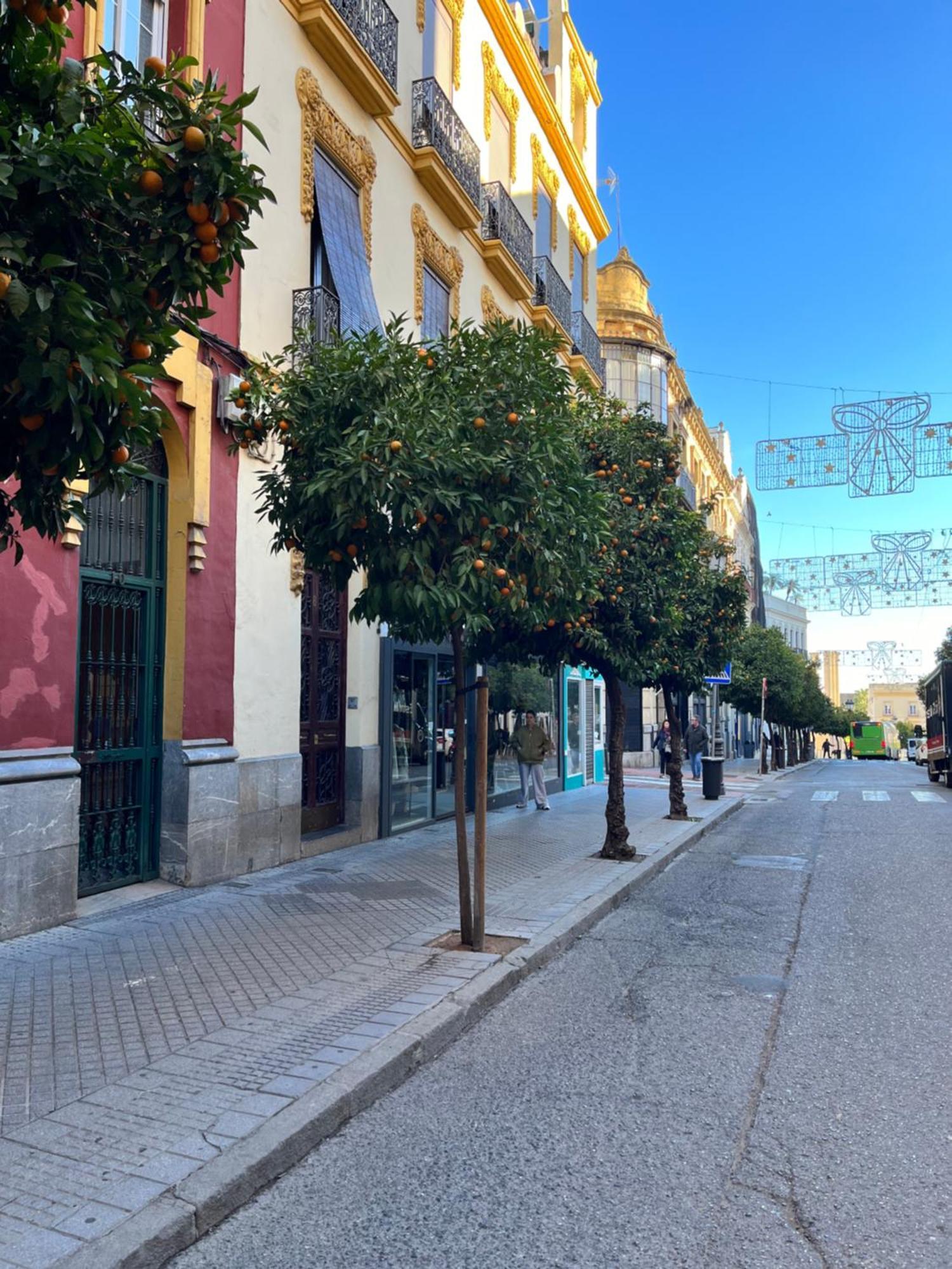 Apartamento Azonaicas Córdoba Exterior foto